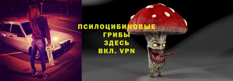 OMG tor  Аксай  Галлюциногенные грибы мицелий  хочу  